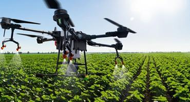 Agriculture verte